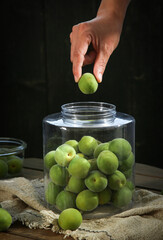 Fresh Green Plums Being Added to Glass Jar for Preserving or Infused Wine Making on Rustic Wood...