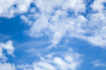 Fototapeta premium Blue Sky with White Fluffy Clouds Natural Background Landscape
