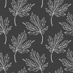 Seamless pattern with sketch illustration of maple autumn leafs. One-line vector hand drawing.