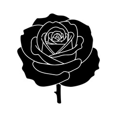 Elegant black rose flower silhouette with white line art.