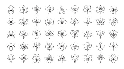 Collection of elegant floral and abstract decorative ornaments silhouette