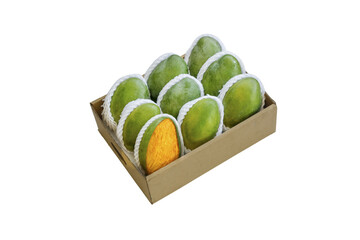 Fresh Green Mangoes in Cardboard Box with Foam Protection on White Background