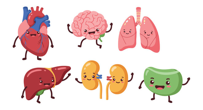 Cute cartoon human organs with happy faces and playful expressions - Powered by Adobe