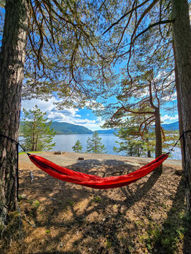 Fototapeta Vibrant red hammock sways gently between two tall trees, offering a perfect spot for relaxation. Lush greenery surrounds the tranquil waters of Norway, inviting peace and serenity.
