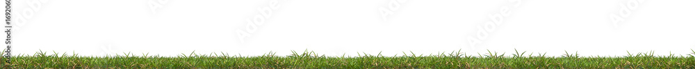 Poster Fresh green grass isolated on transparent background. 3d realistic rendering . PNG format	