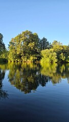 Beautiful tree reflecting on the still waters of a lake near Curarrehue, southern Chile. Peaceful scene with trees and warm colors.