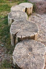 Row of old tree stumps used as rustic fence or garden decoration