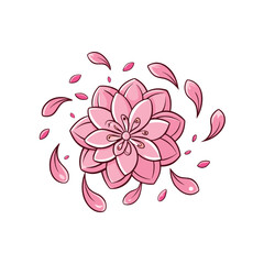 Delicate cherry blossom petals gracefully swirling and scattering on a clean white background for spring themes