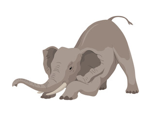 Flat vector elephant in poses African of Asian animal with large ears and long trunk. Wildlife theme