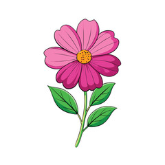 Vibrant cosmos flower with delicate green leaves artfully arranged on a clean white background for versatile design applications