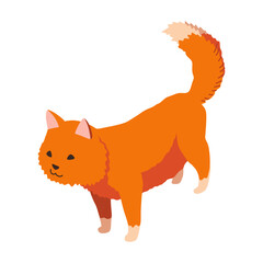 Farm animal isometric. Domestic animal in 3d flat back and front view. Cute game character of cat. Vector icon