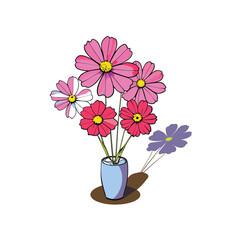 Vibrant cosmos flowers in a vase bathed in warm sunshine casting gentle shadows