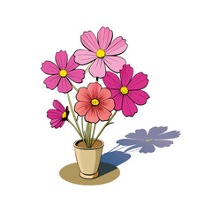 Vibrant cosmos flowers elegantly arranged in a vase bathed in warm sunshine casting soft shadows