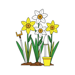 Bright yellow daffodils arranged with gardening tools on a clean white background for spring