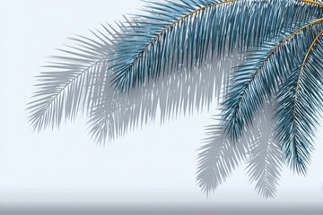 Light teal palm fronds cast shadows on a light gray background