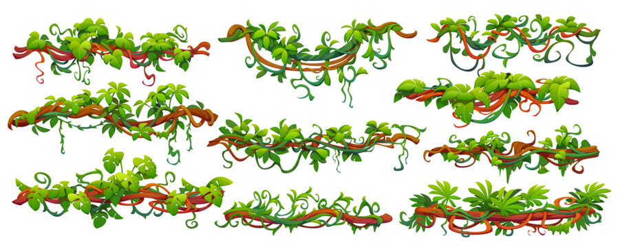Tropical jungle forest liana vine branches intertwined and cascading with of green leaves and roots. Cartoon vector green foliage spinney, dense flora of rainforest ecosystem with climbing thickets