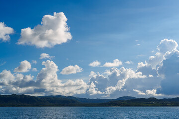 西表島 2025年9月5日撮影