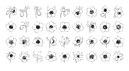 Collection of delicate hand drawn floral silhouettes in a grid layout