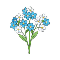 Delicate forget me not flower bunch illustration with vibrant blue petals on a clean white background