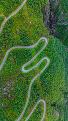 A picturesque winding road snakes through vibrant greenery, leading toward the stunning Lysefjord in Norway.