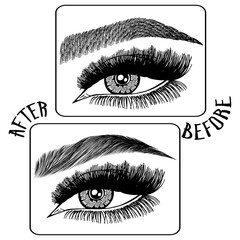 Fototapeta premium Illustration with woman's eyes, eyelashes and eyebrows. Makeup Look. Tattoo design. Logo for brow bar or lash salon. Before and after coloring care. Set of well-groomed and shaggy eyebrows.