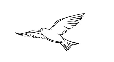 Fototapeta premium Elegant line art illustration of a bird in flight against a white backdrop