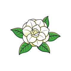 Elegant gardenia flower with delicate leaves rendered on a clean white background for versatile design applications