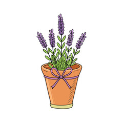 Charming lavender plant in a rustic pot adorned with a neatly tied bow perfect for decorative purposes