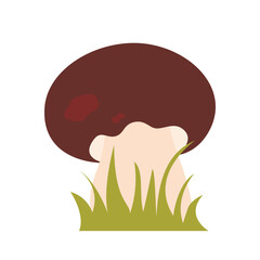 Young boletus in grass clip art illustration. Hand drawn cute noble edible forest mushroom, vector element