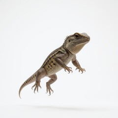 Obraz premium Lizard in mid-air showcasing agility in a bright studio environment during a dynamic photo shoot