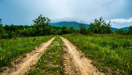 Obraz premium A dirt road winds through a lush green meadow, leading to a hazy mountain range under a cloudy sky