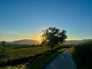 Sunset SAINT julien en genevois