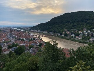view of the city from the hill, rhein