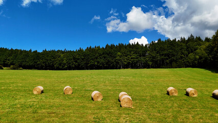 field stacks hay forest landscape