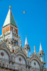 St. Mark&rsquo;s Basilica with bell tower and seagull, Venice, Italy