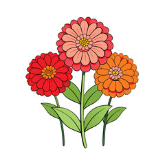 Vibrant zinnia flowers grouped together on a clean white background for decorative purposes