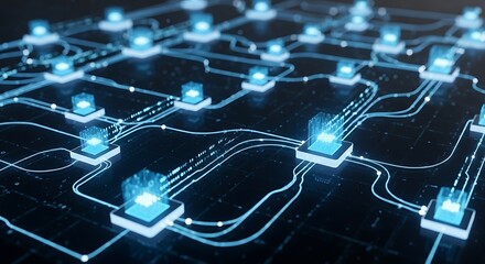 Interconnected Network - Data Flow in a Digital System.