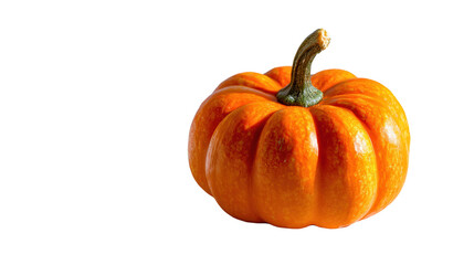 Orange Pumpkin Stem White Background Autumn Harvest Symbol Holiday Decoration