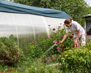 an adult woman waters a flower bed with water from a hose in a village on a summer evening