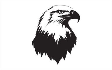 eagle on white background