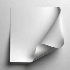 Smooth White Paper with Curled Edge on a Neutral Background