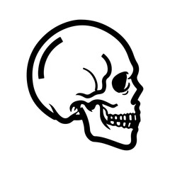 Skull side view with transparent background