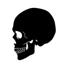 Skull silhouette with transparent background