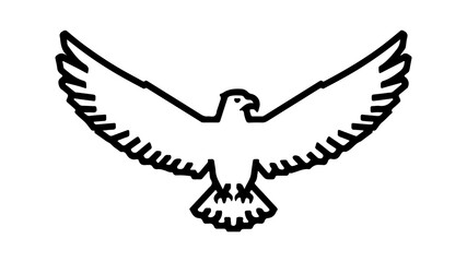 Obraz premium Soaring eagle outline with transparent background