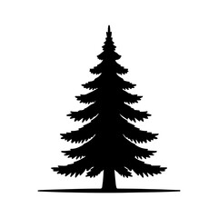 Obraz premium Tall evergreen tree silhouette with transparent background