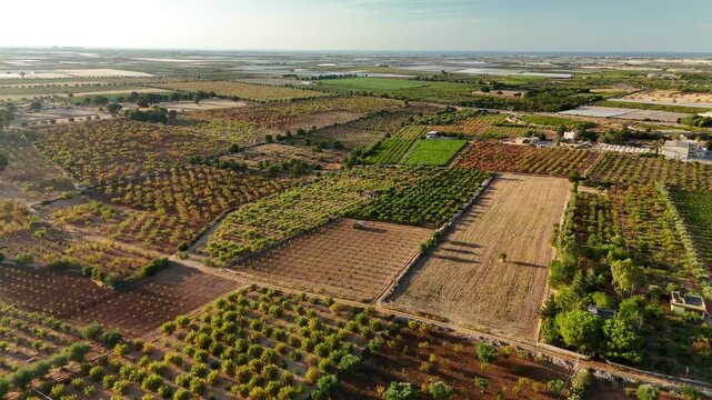 Aerial Panoramic Drone View of Olive Groves and Farmland in Puglia, Southern Italy. Aerial Drone View of Olive Groves, Farmland and Rural Countryside in Puglia. Mediterranean Landscape and Agriculture