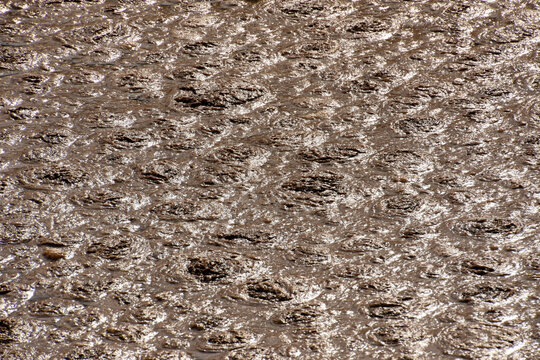 An intricate pattern of turbulent, bubbly liquid, a detail shot from a wastewater treatment plant. It highlights the essential but challenging process of environmental cleanup.