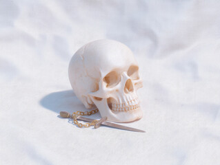 Fototapeta premium White skull captured on white background with small sword and chain lying beside it creating calm and mysterious atmosphere