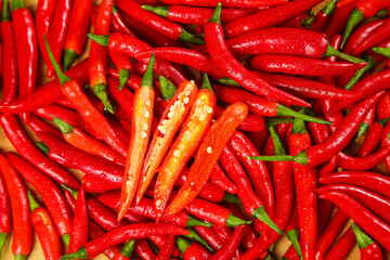Freshly Picked Red Chili Peppers with Seeds - Vibrant Hot Peppers from Morning Farmers Harvest