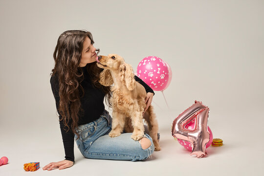 Birthday celebration with a cocker spaniel and balloons